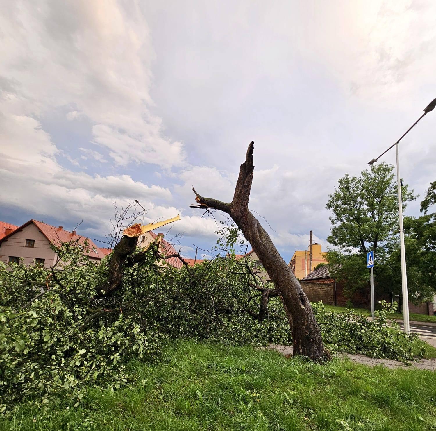 Burza wyrządziła szkody