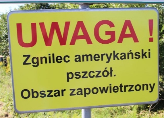 Gmina Chojnów - strefa zapowietrzona