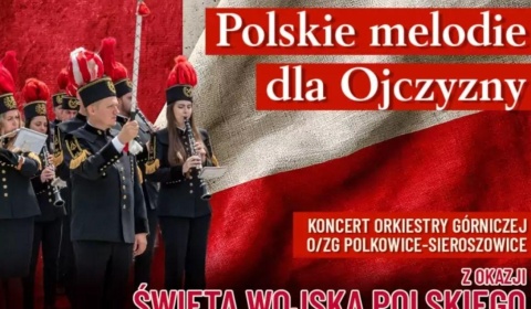 Święto Wojska Polskiego w Polkowicach. Rodzinne atrakcje i koncert