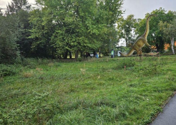 Rysie wkrótce w ZOO Lubin