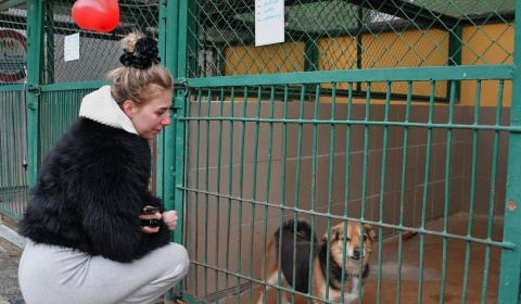 Walentynki z bezdomniakiem. Legniczanie pokazali wielkie serca (FOTO)