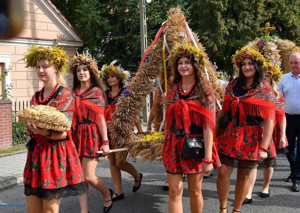 Święto Plonów gminy Legnickie Pole (FOTO)