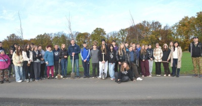  Lipy z imionami znalazły swoje miejsce w Złotoryi 