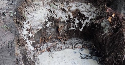 Odkryto zbiorową mogiłę