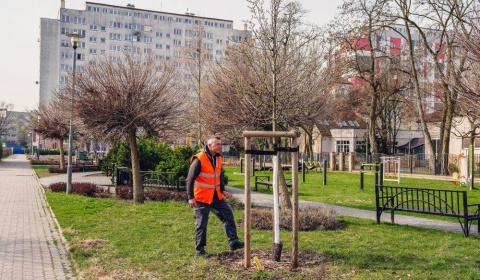 Pozimowe przeglądy w gminie 