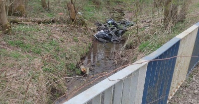 Wstrętny śmieciarz w oku „Wielkiego Brata”