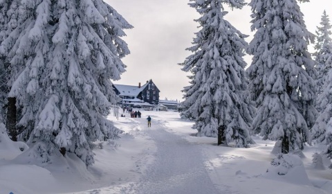 Za zimą w Karkonosze! Szrenica w ferie (FOTO)