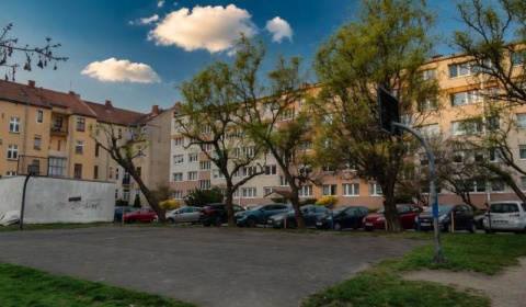 Kiedy drzewa stają się zagrożeniem. Spór o bezpieczeństwo przy Orzeszkowej narasta