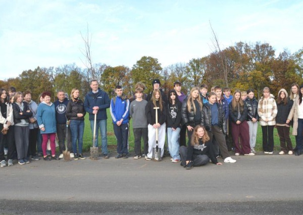  Lipy z imionami znalazły swoje miejsce w Złotoryi 