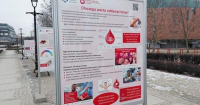 Laboratorium życia: krew w roli głównej