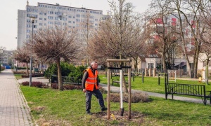 Pozimowe przeglądy w gminie 