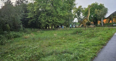 Rysie wkrótce w ZOO Lubin