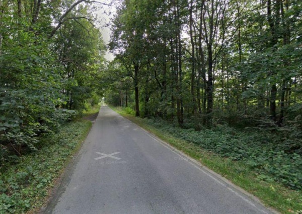 Mordercze drzewa. O krok od tragedii