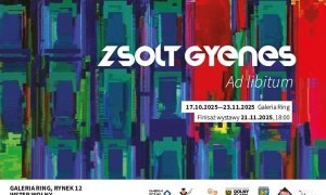 Festiwal Form Audiowizualnych INTERMEDIALE 