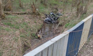 Wstrętny śmieciarz w oku „Wielkiego Brata”