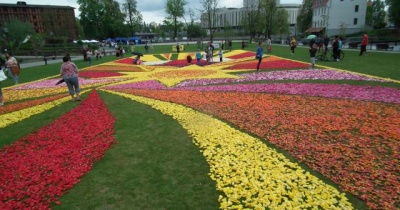 Tysiące kwiatów i nowe aranżacje – Lubin przygotowuje się na kolorowy sezon 2026