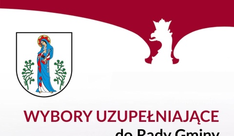 30 listopada wybory uzupełniające do Rady Gminy Lubin