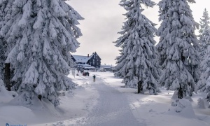 Za zimą w Karkonosze! Szrenica w ferie (FOTO)