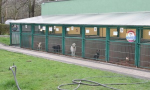 Rozstrzygnięto przetarg na prowadzenie schroniska