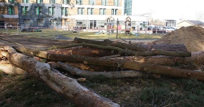 Budowa nowej ulicy w Lubinie. Rżną drzewa na potęgę (FOTO)