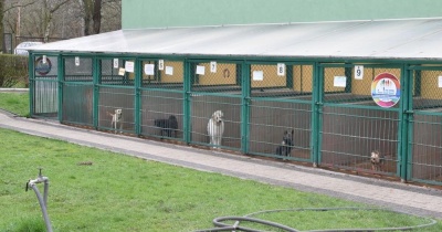 Rozstrzygnięto przetarg na prowadzenie schroniska