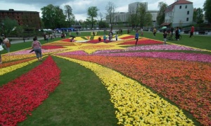 Tysiące kwiatów i nowe aranżacje – Lubin przygotowuje się na kolorowy sezon 2026