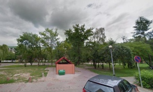 Nikt nie zgłosił się do opieki nad wolno żyjącymi kotami. Miasto ma plan