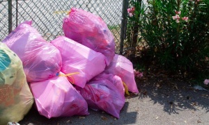 Zbiórka odpadów tekstylnych i ubrań w Legnicy - zasady i harmonogram