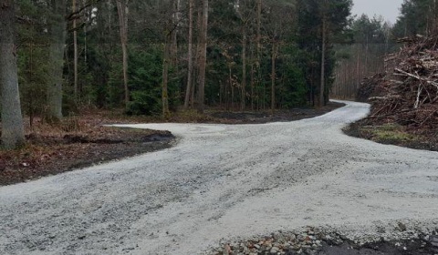 Ta droga może zmienić wiele. Czy powstanie leśna trasa marzeń?