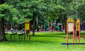 Legnica dołoży ponad 3,6 mln zł. W Parku Miejskim powstanie nowoczesny plac zabaw za 14 mln zł
