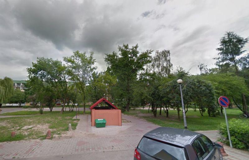 Nikt nie zgłosił się do opieki nad wolno żyjącymi kotami. Miasto ma plan