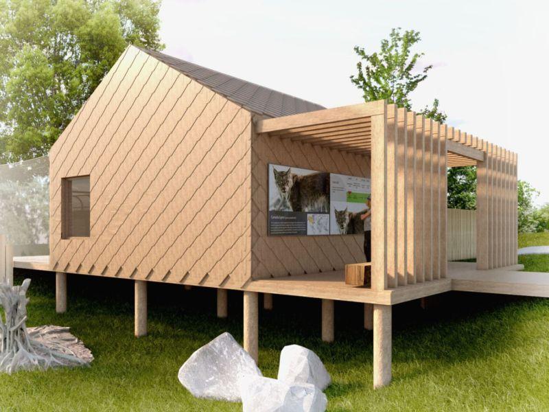 Rysie wkrótce w ZOO Lubin