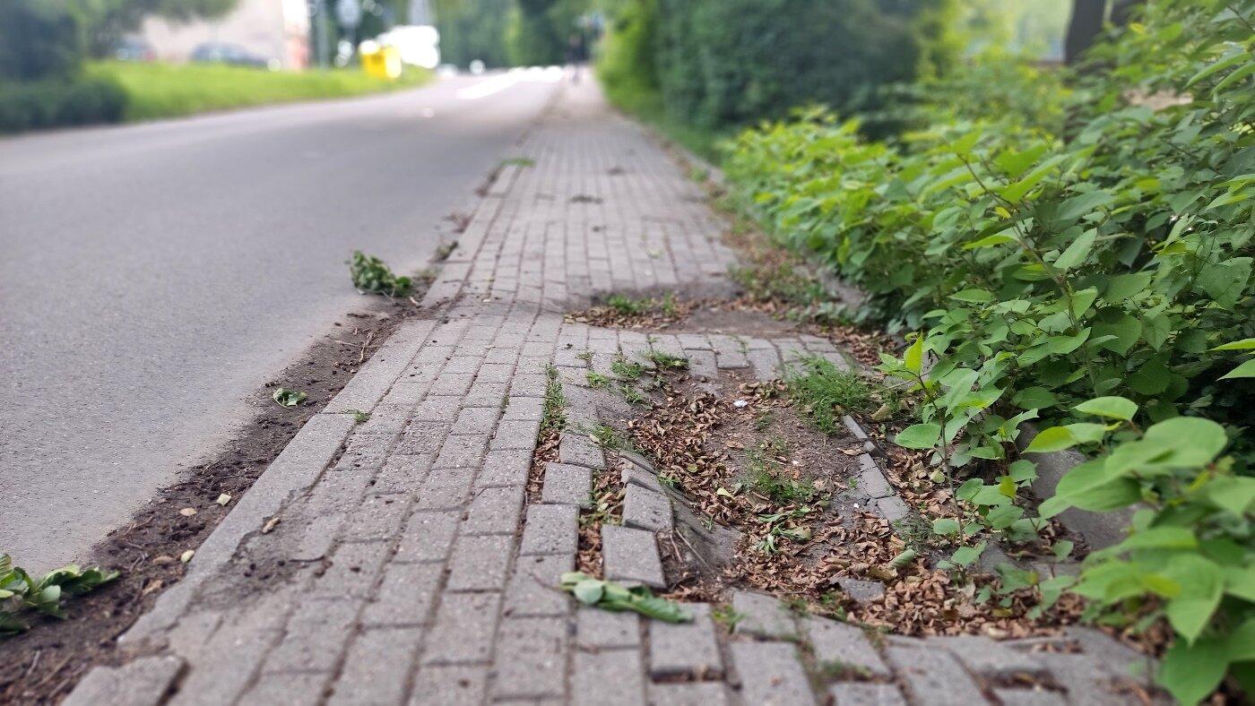 Wojewoda pomoże w remoncie po powodzi