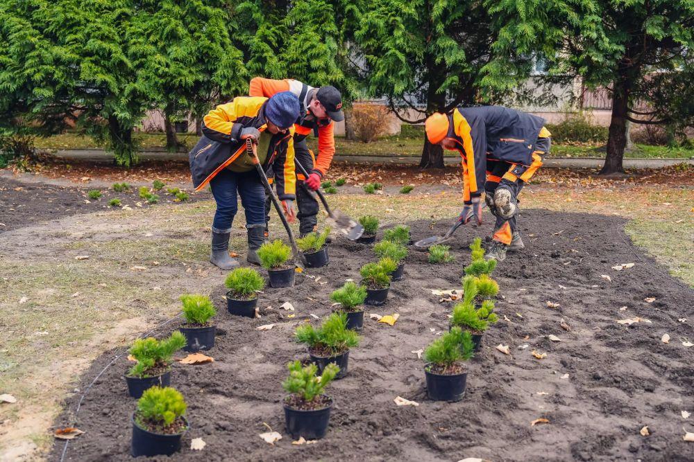 Polkowice się zazielenią jeszcze bardziej