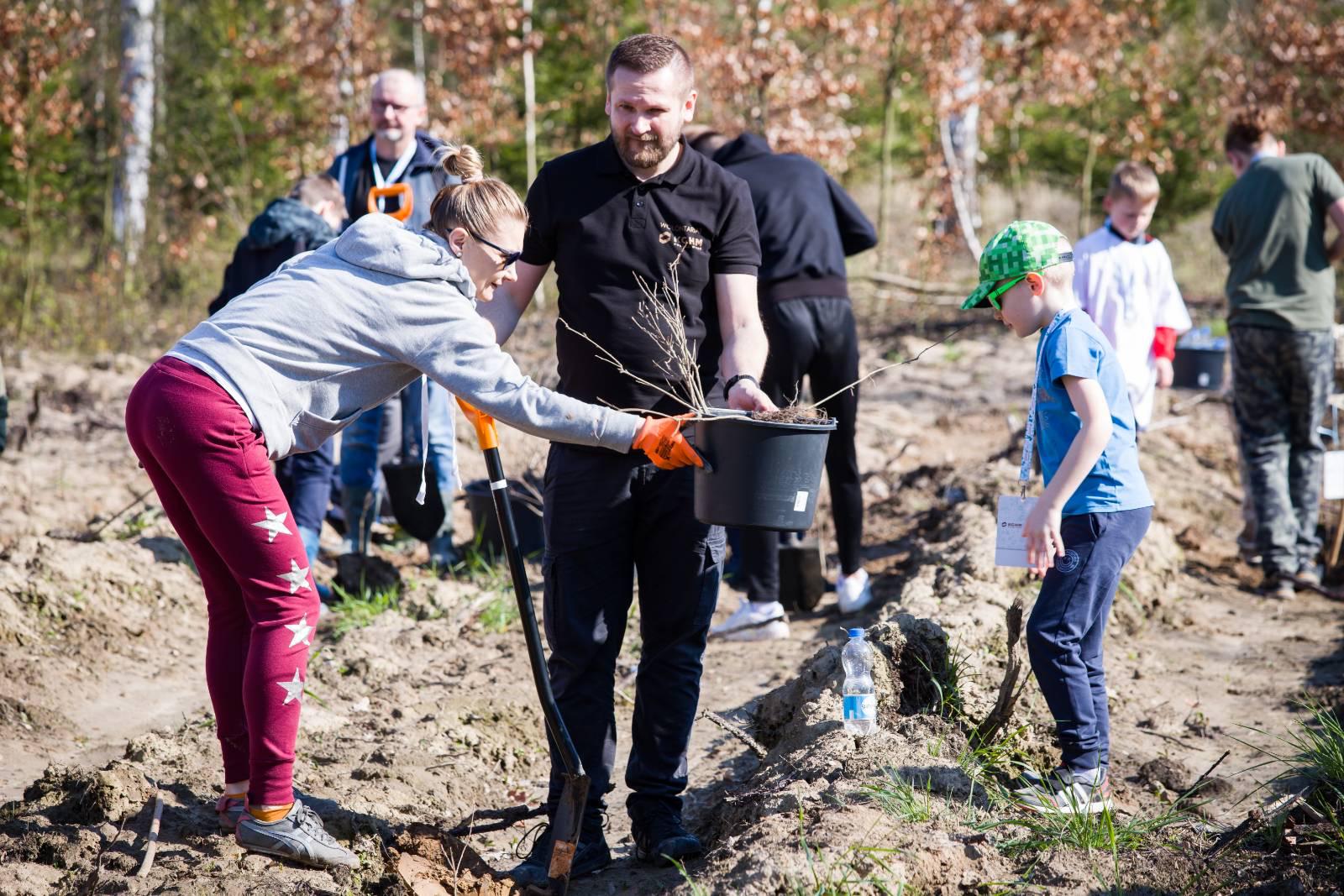 Tysiące dębów od KGHM w Międzynarodowym Dniu Ziemi