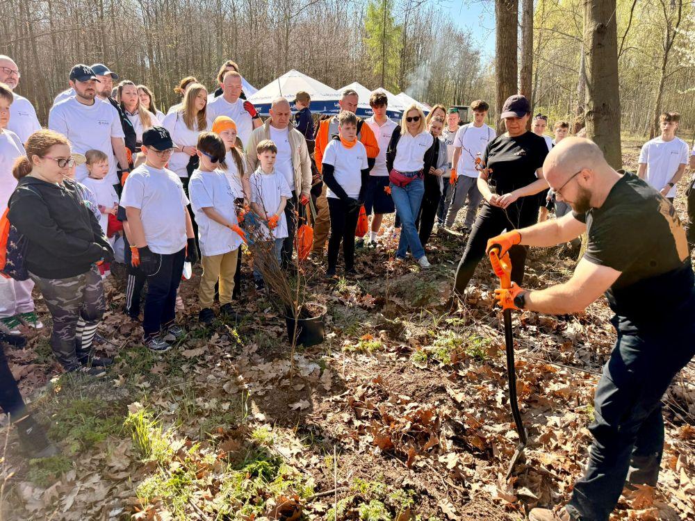 Światowy Dzień Ziemi: wolontariusze KGHM zasadzili kolejne tysiące drzew przy Hucie Miedzi Głogów