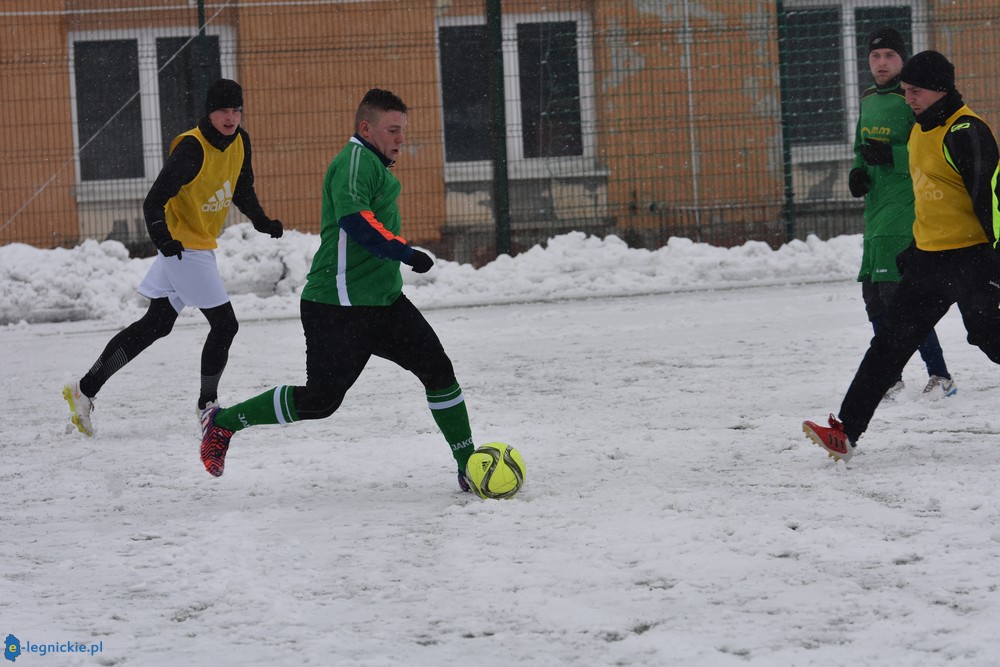 Rodło śniegu się nie boi (FOTO)