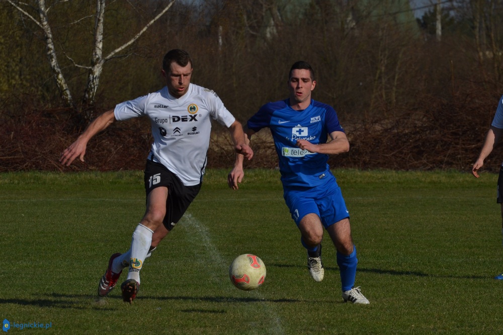 Zbyt wysoki lot Mewy (FOTO)