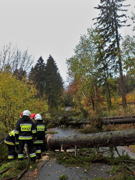 Złotoryjscy strażacy stawili czoła orkanowi