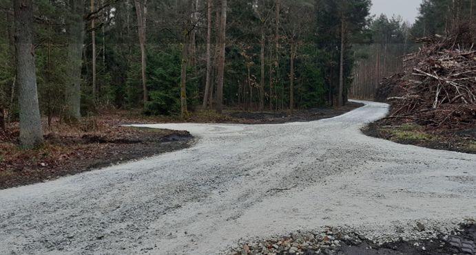 Ta droga może zmienić wiele. Czy powstanie leśna trasa marzeń?