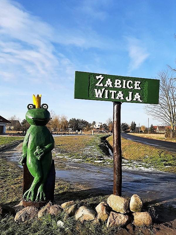 Królestwo żab = piękna dolnośląska wieś
