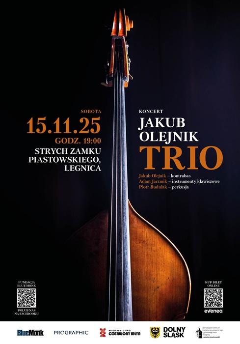 Jakub Olejnik Trio na strychu Zamku Piastowskiego
