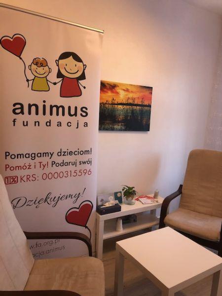 Posumowanie 2020 r. Nowe wyzwania Fundacji ANIMUS