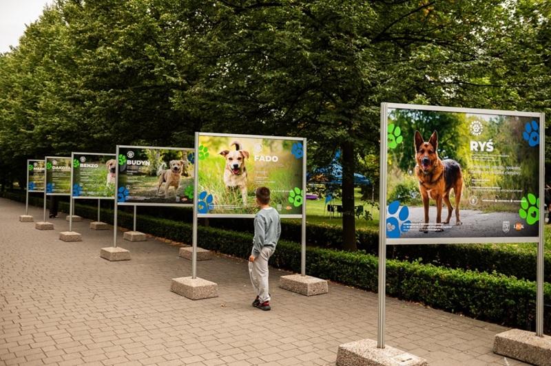 Daj im dom! Wyjątkowa wystawa w Parku Miejskim
