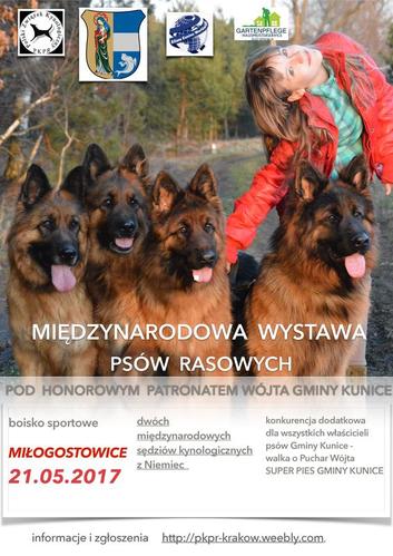 Międzynarodowa Wystawa Psów Rasowych