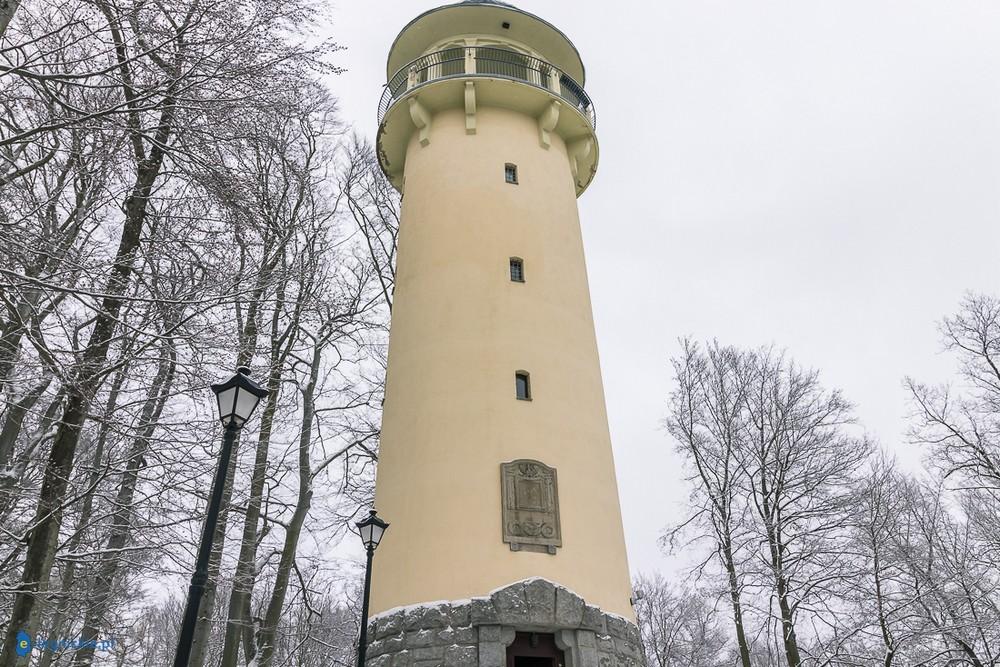 Grzybek, źródełko i cudeńka Borowego Jaru (FOTO)