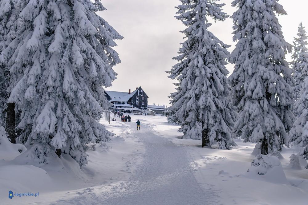 Za zimą w Karkonosze! Szrenica w ferie (FOTO)