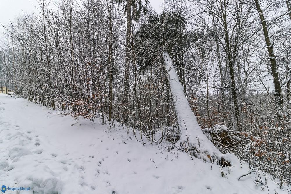 Wieża na Czerniawskiej Kopie (FOTO)