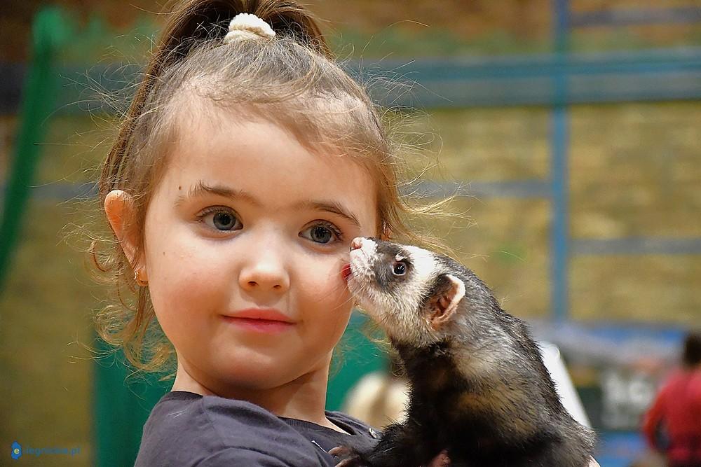 "Mój Przyjaciel Zwierzak" (FOTO)