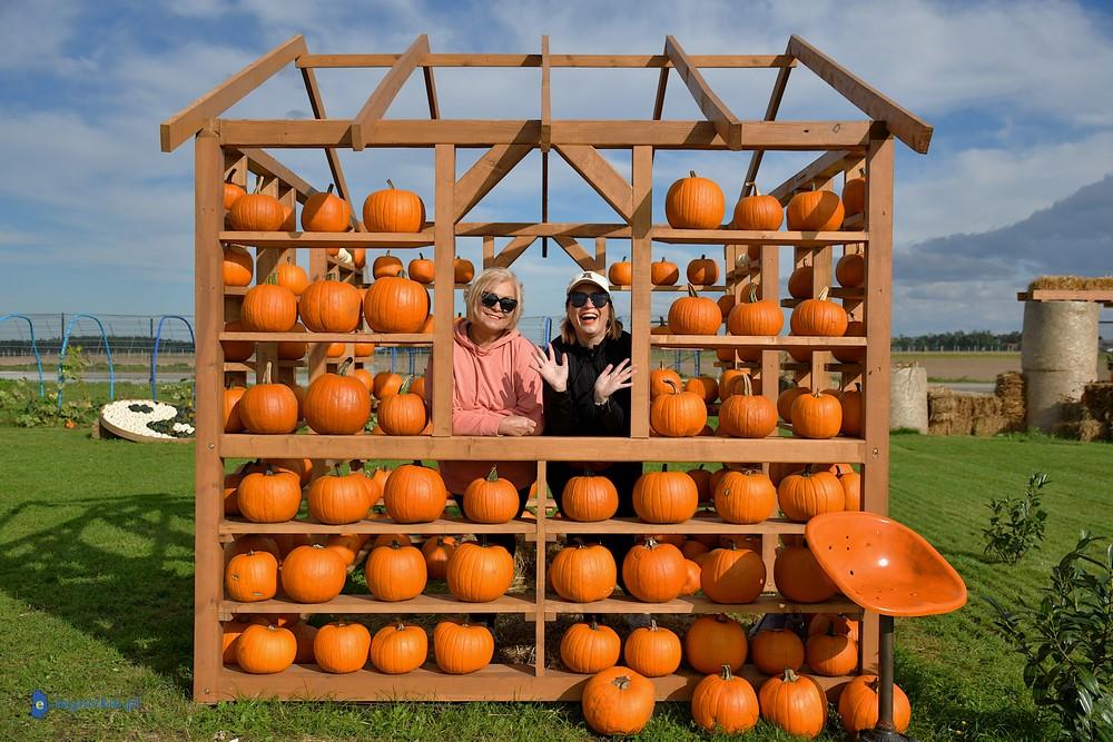 Farma Dyń pełna pasji i jesiennej magii(FOTO)